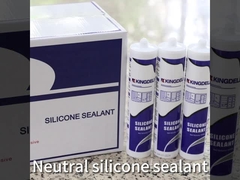 sealant silikon
