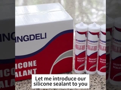 sealant silikon