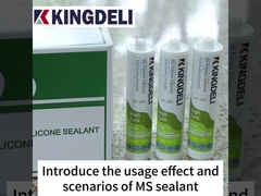 sealant silikon